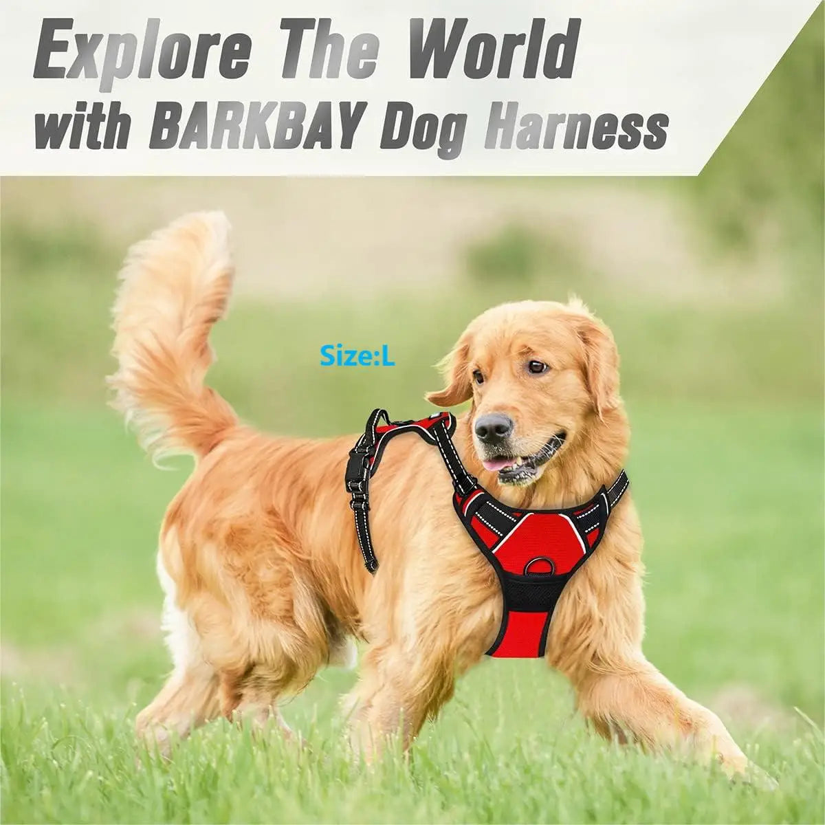 Adjustable No-Pull Dog Harness | Reflective Vest for Medium & Large Dogs
