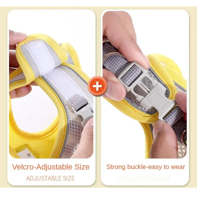 Adjustable Reflective Pet Harness Set | Breathable Vest for Dogs & Cats