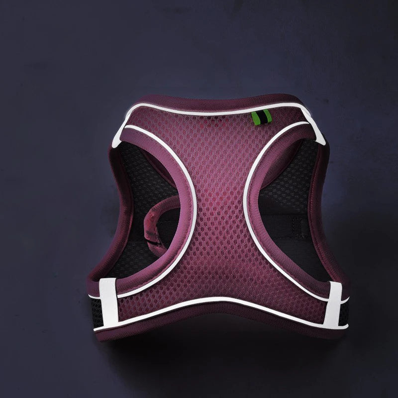 Adjustable Reflective Pet Harness Set | Breathable Vest for Dogs & Cats